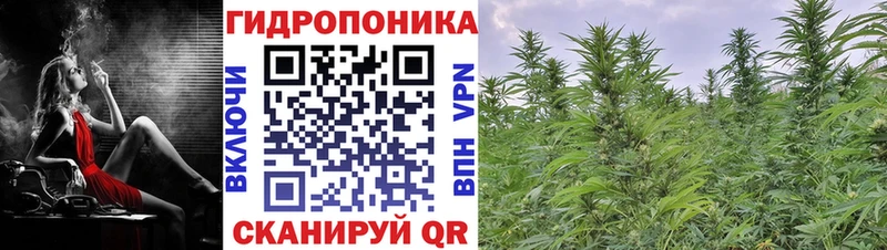 Сколько стоит Балабаново Гашиш  Alpha-PVP  Меф мяу мяу  Амфетамин  Канабис 
