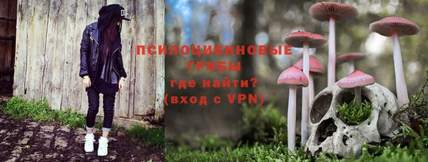 гашик Балабаново