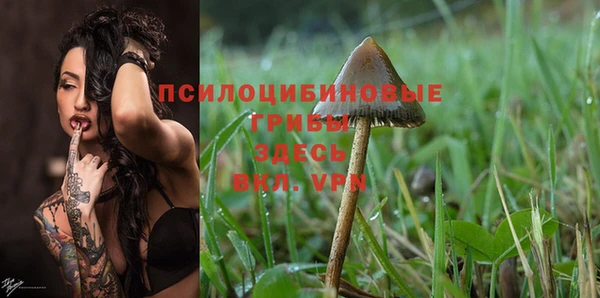 герыч Алексеевка