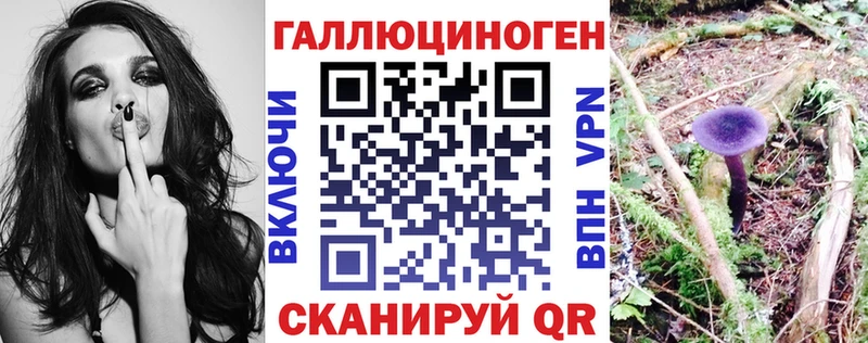Галлюциногенные грибы Cubensis  Балабаново 
