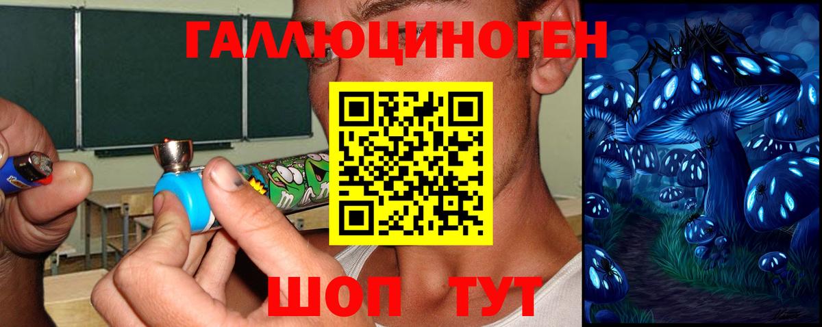 Балабаново  сколько стоит  Вход с VPN  Псилоцибиновые грибы мицелий  Псилоцибиновые грибы MAGIC MUSHROOMS 